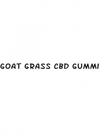 goat grass cbd gummies