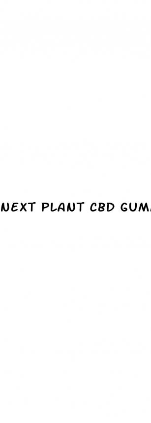 next plant cbd gummies website