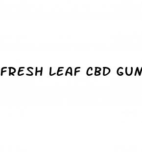 fresh leaf cbd gummies reviews