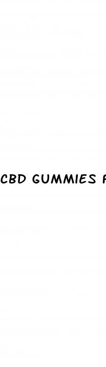 cbd gummies for dogs reviews