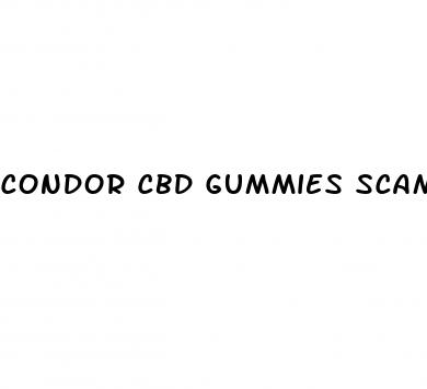 condor cbd gummies scam