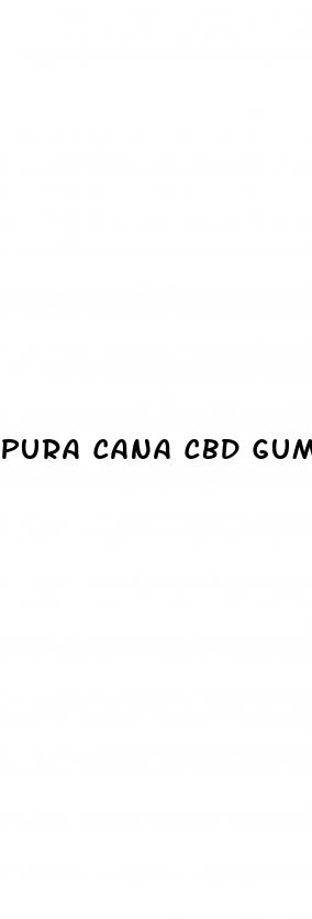 pura cana cbd gummies