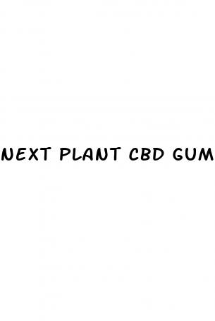 next plant cbd gummies shark tank