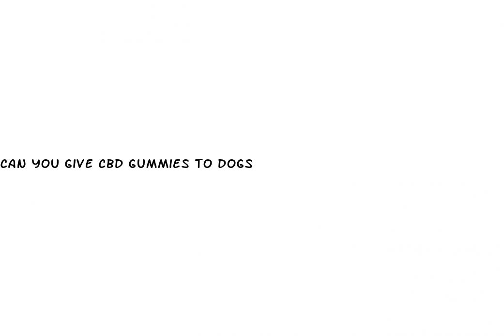 can you give cbd gummies to dogs