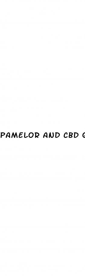 pamelor and cbd gummies