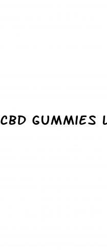 cbd gummies lakeland fl