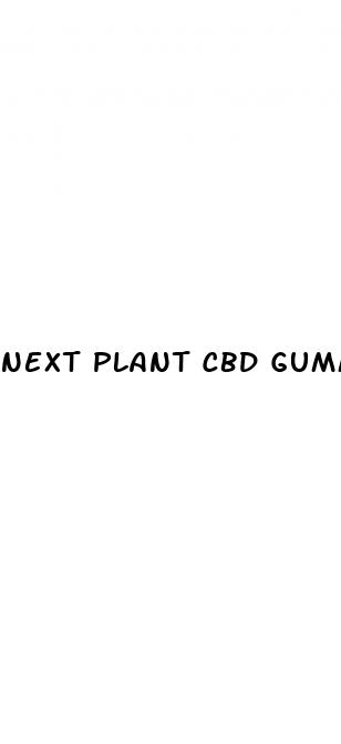 next plant cbd gummies review