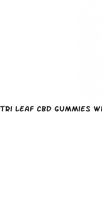 tri leaf cbd gummies where to buy