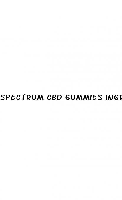 spectrum cbd gummies ingredients