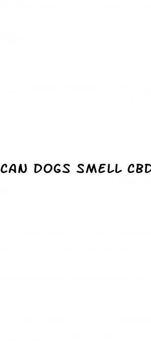 can dogs smell cbd gummies