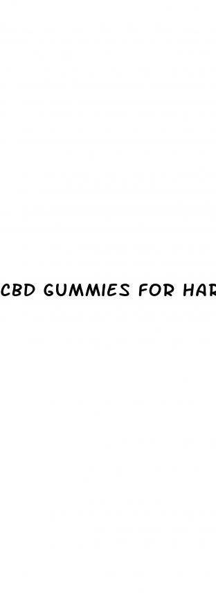 cbd gummies for hard on