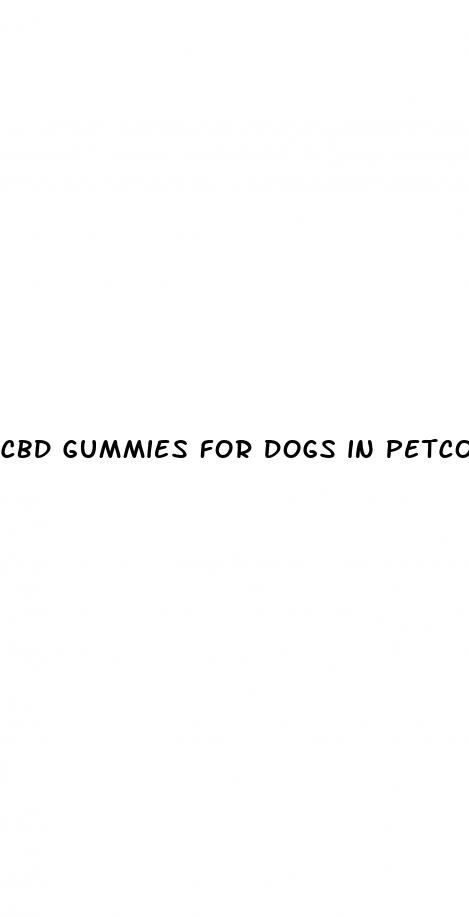 cbd gummies for dogs in petco