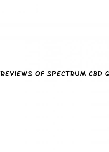 reviews of spectrum cbd gummies