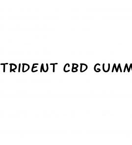 trident cbd gummies ingredients