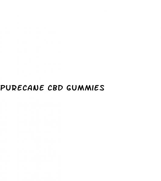 purecane cbd gummies