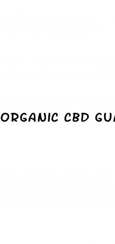 organic cbd gummies for sleep