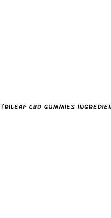 trileaf cbd gummies ingredients