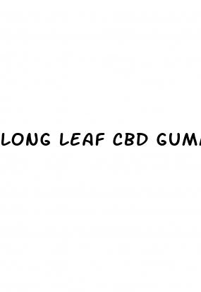 long leaf cbd gummies