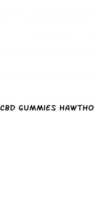 cbd gummies hawthorne