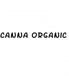 canna organic green cbd gummies 500mg