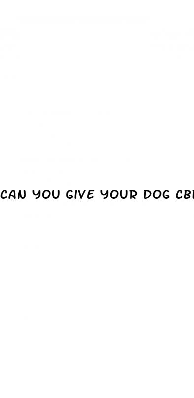 can you give your dog cbd gummies