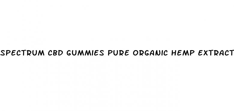 spectrum cbd gummies pure organic hemp extract 300mg