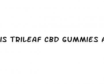 is trileaf cbd gummies a scam