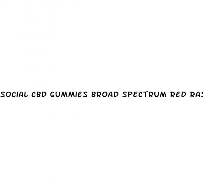 social cbd gummies broad spectrum red raspberry