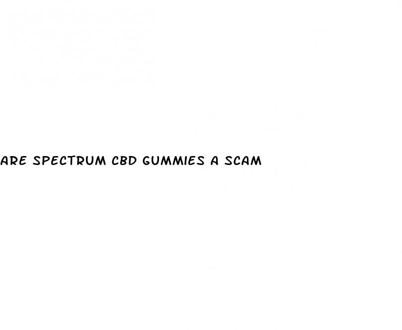 are spectrum cbd gummies a scam