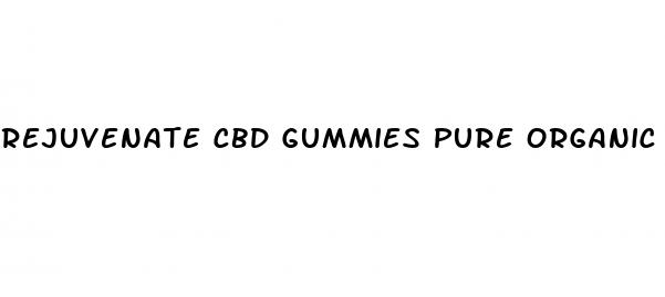 rejuvenate cbd gummies pure organic hemp extract