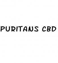 puritans cbd gummies