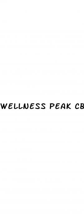 wellness peak cbd gummies reviews side effects