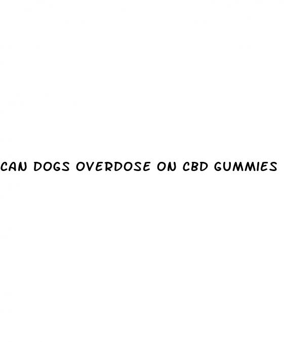 can dogs overdose on cbd gummies