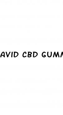 avid cbd gummies