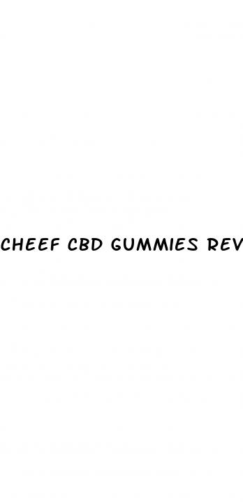 cheef cbd gummies review