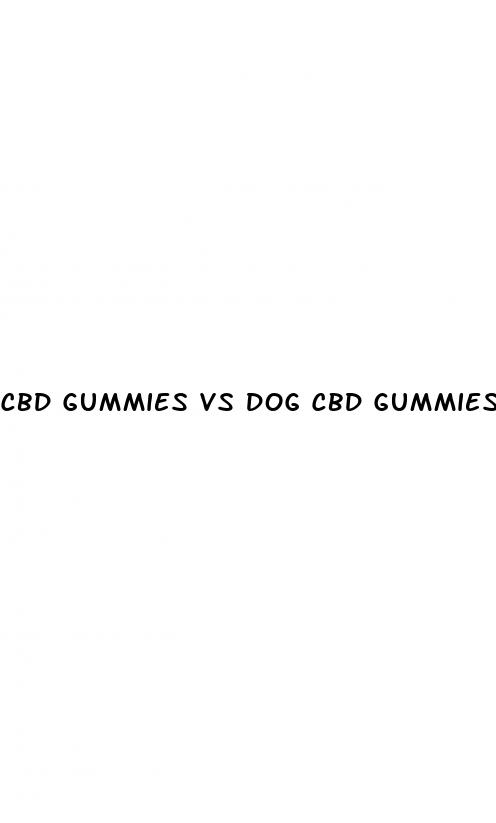 cbd gummies vs dog cbd gummies