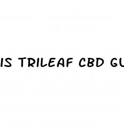 is trileaf cbd gummies legitimate