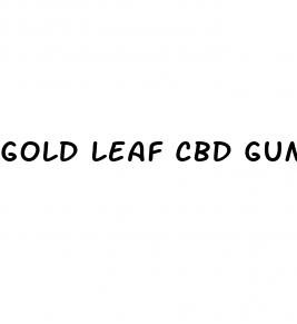 gold leaf cbd gummies strain