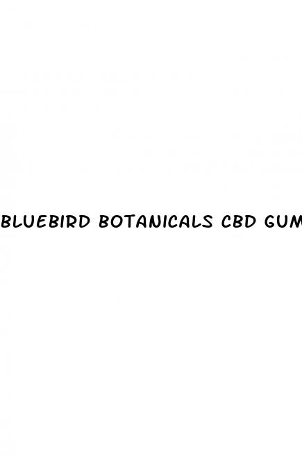 bluebird botanicals cbd gummies