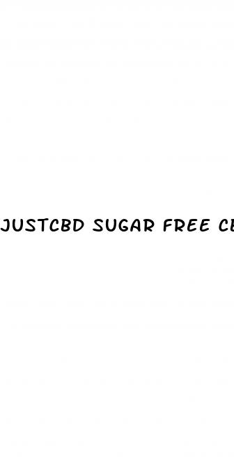 justcbd sugar free cbd gummies