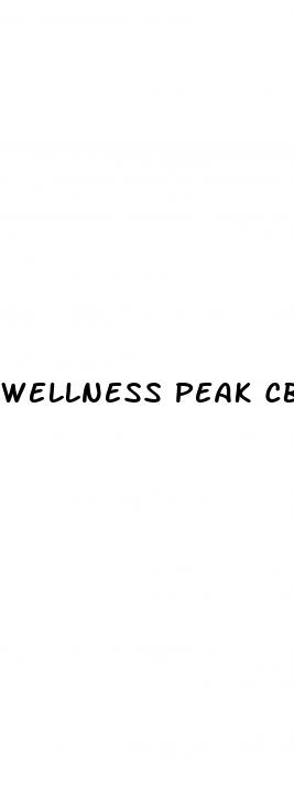 wellness peak cbd gummies shark tank