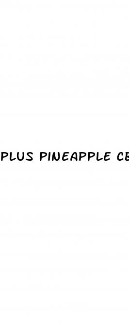 plus pineapple cbd gummies