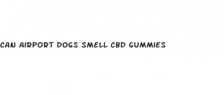 can airport dogs smell cbd gummies