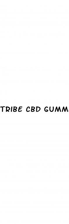 tribe cbd gummies