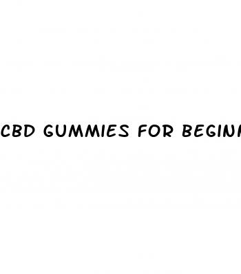 cbd gummies for beginners