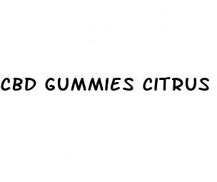 cbd gummies citrus