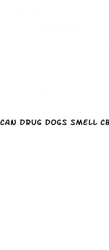 can drug dogs smell cbd gummies