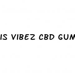 is vibez cbd gummies legit