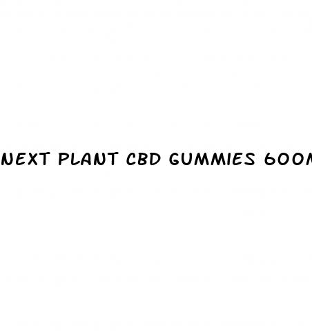 next plant cbd gummies 600mg