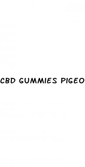 cbd gummies pigeon forge